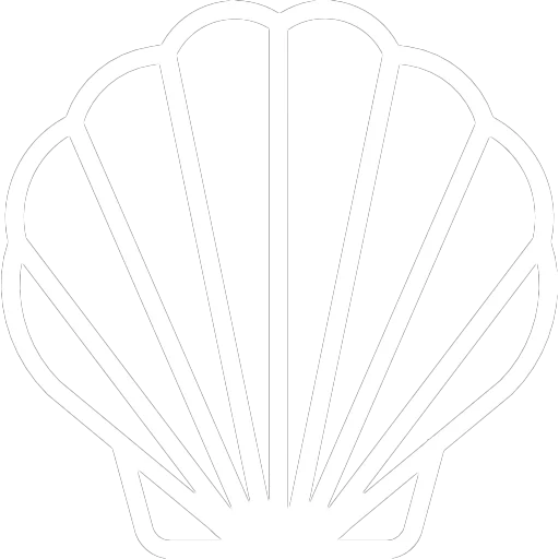 Seashell