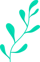 security-feature-shape2